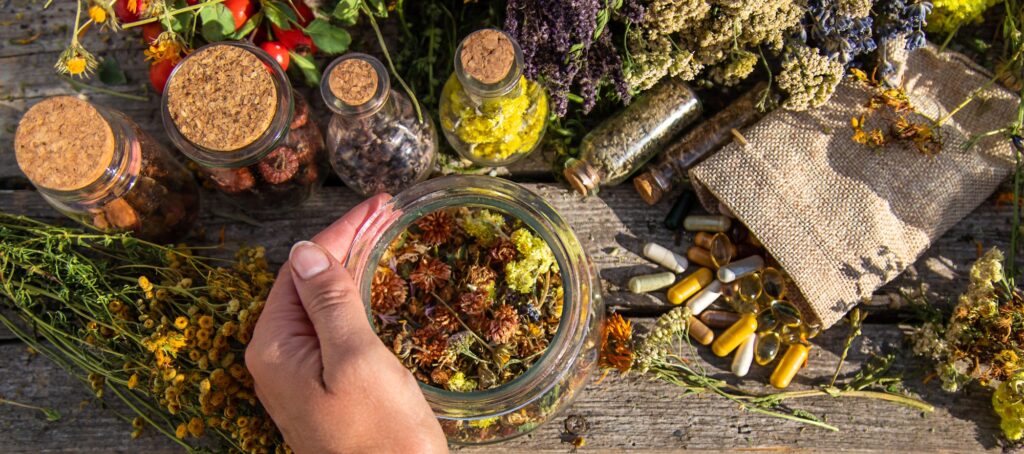 Medicinal herbs in hands. Selective focus.